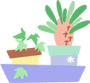 盆栽,植物,花盆