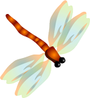 蜻蜓,昆虫,夏天