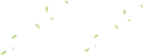 叶子,飘落,春天