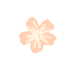 花朵分割线