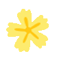 花朵分割线